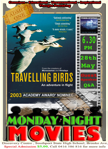 Travelling Birds - DVD